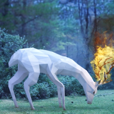 Fragilidad — Shortfilm